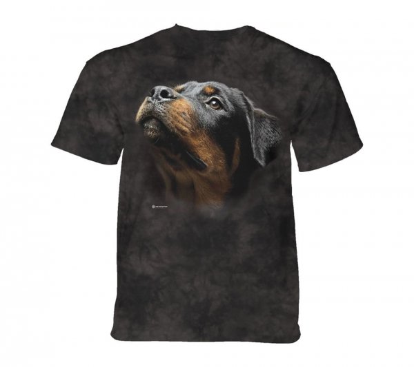 Angel Face Rottweiler - The Mountain - Junior