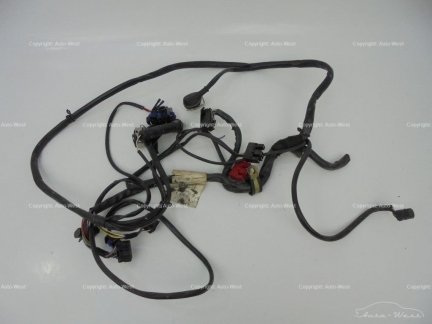 Ferrari 456 GTA F116 LH door cables wiring loom harness