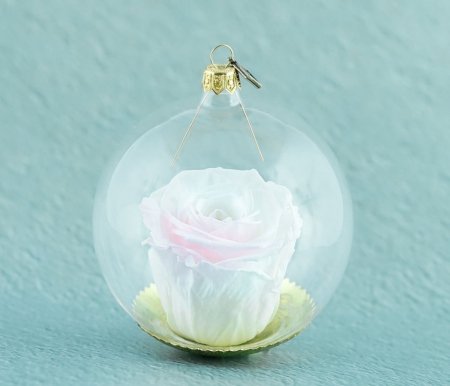 Natürliche haltbare Rose in einer Glaskugel - Weiß und Rosa