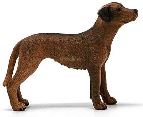 Pies Rasy Rhodesian Ridgeback Figurka Schleich 13895