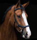 Ogłowie anatomiczne Rambo Micklem Deluxe - Horseware