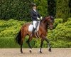 Frak jeździecki młodzieżowy ELAINA JUNIOR SS23 - QHP 