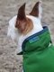 Derka dla psa 300g FREEDOM - Bucas - emerald green