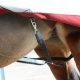 Derka padokowa 0g POWER TURNOUT HIGH NECK - Bucas