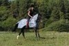 Derka siatkowa treningowa BUZZ-OFF RIDING - Bucas - silver/navy