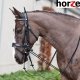 Czambon gumowy - HORZE