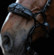 Hackamore ALUPRO - Acavallo
