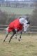 Derka padokowa 150g 600D FREEDOM TURNOUT - Bucas - crismon red