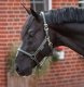 Kantar Dublin - BUCAS opal taupe