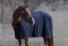  Derka polarowa FLEECE STAMPED Platinum 2022 - Eskadron - navy