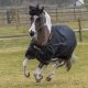 Derka padokowa 50g 1200D IRISH - Bucas - black/gold