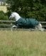 Derka padokowa 100g 600D GREEN-LINE TURNOUT - Bucas