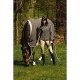 Kurtka SOFTSHELL damska - Equi Theme