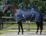 Derka stajenna Start 150g 210D - QHP - dark blue
