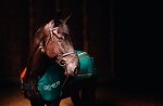 Konik