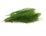 Skrzyp polny 1 kg - EQUIHERBS 