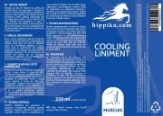 Wcierka chłodząca 250 ml - HIPPIKA.COM
