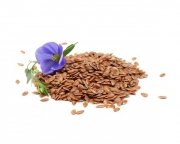 Siemię lniane 3,5 kg - EQUIHERBS 
