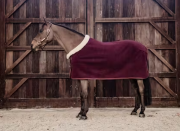 Derka polarowa Show Rug Heavy - Kentucky - bordeaux