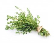 Tymianek 1 kg - EQUIHERBS 