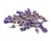 Lawenda - kwiat 0,5 kg - EQUIHERBS 