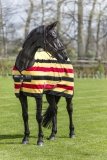 Derka osuszająca RAMBO Deluxe Fleece - HORSEWARE - witney gold