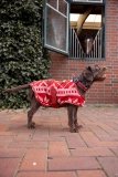 Derka polarowa dla psa - Horze - red