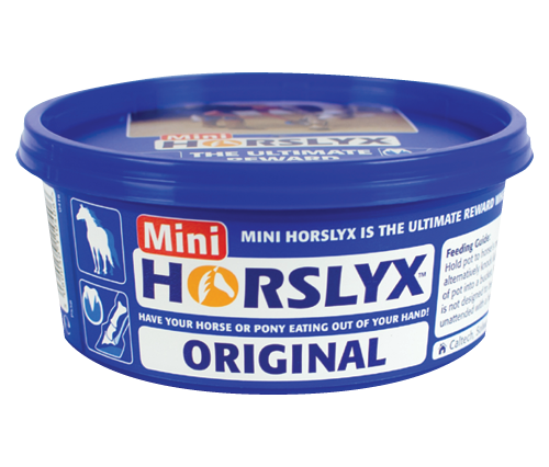 Lizawka smaokwa MINI 650g - Horslyx ORIGINAL