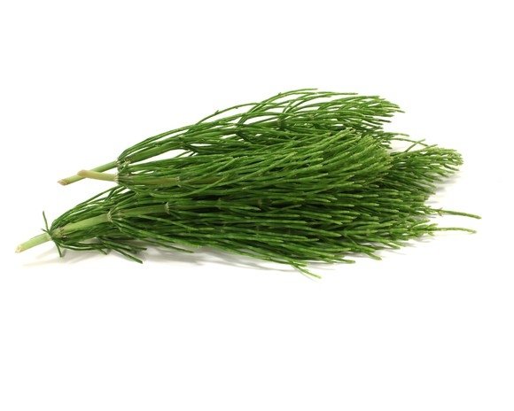 Skrzyp polny 1 kg - EQUIHERBS 