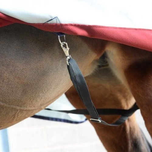Derka padokowa 0g POWER TURNOUT LIGHT - Bucas - silver