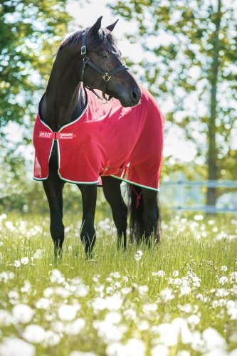 Derka siatkowa AMIGO Net Cooler - HORSEWARE - red/white