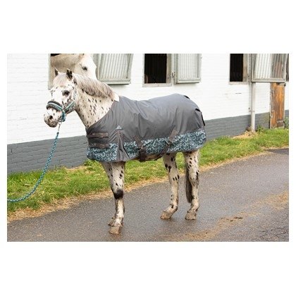 Derka padokowa 200g 600D Stout - Harry's Horse