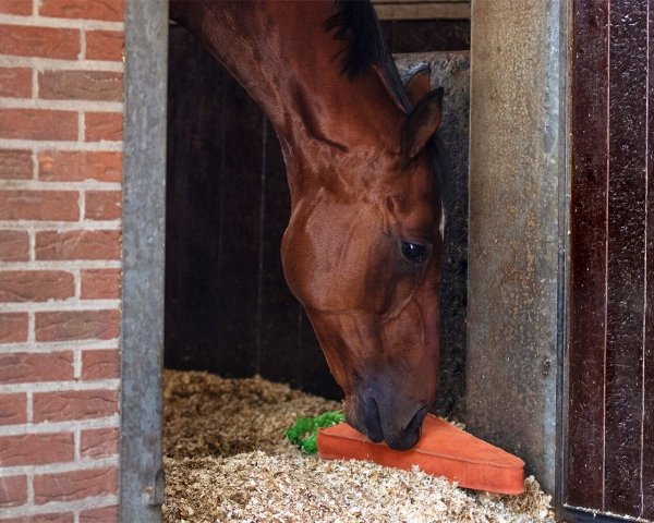 Zabawka dla konia zamszowa XL - QHP - carrot