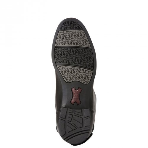Oficerki damskie BROMONT PRO TALL H2O - Ariat 