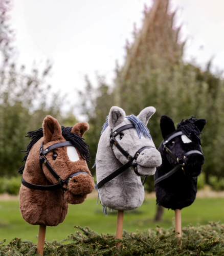 Hobby horse - Waldhausen 