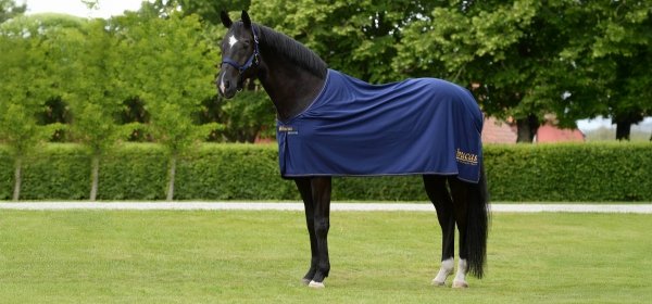 Derka osuszająca Prize Cooler - Bucas - navy/gold