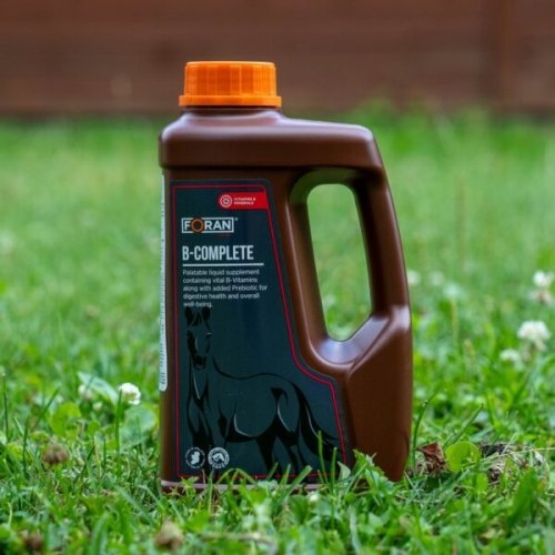 Witaminy z grupy B B-Complete 1L - Foran