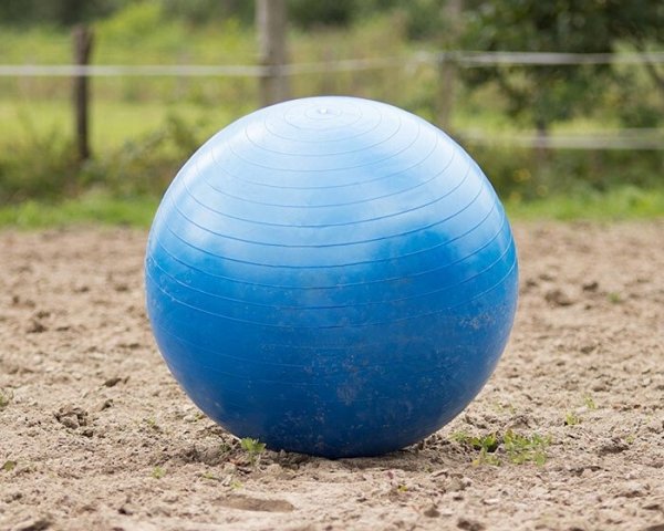 Piłka dla konia 100 cm - QHP