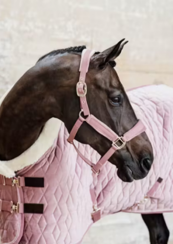 Kantar Velvet - Kentucky - old rose