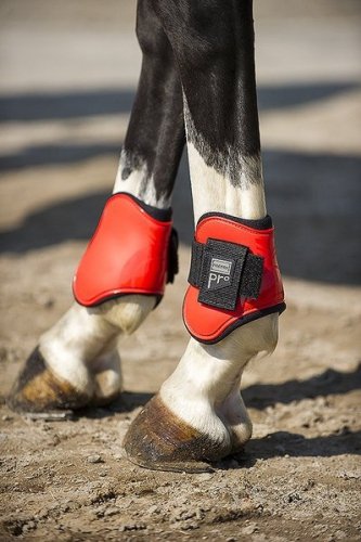 Ochraniacze Norton Pro - komplet na 4 nogi - Norton Pony