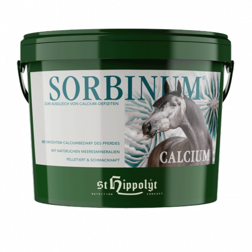 Calcium Sorbinum 10 kg- St Hippolyt
