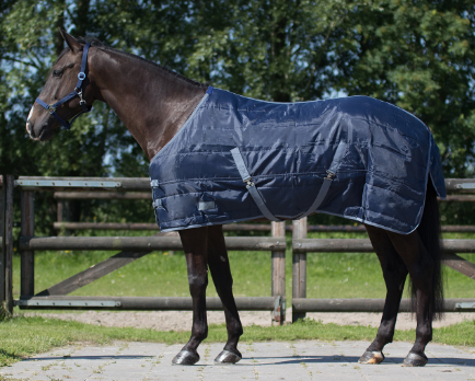 Derka stajenna Start 150g 210D - QHP - dark blue