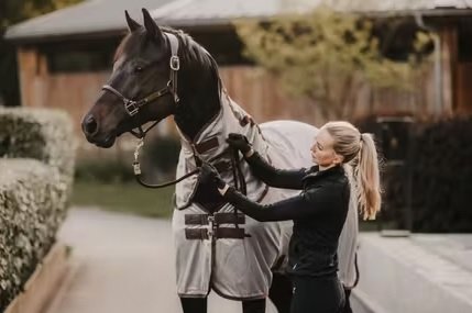 Derka siatkowa z kołnierzem Classic - Kentucky