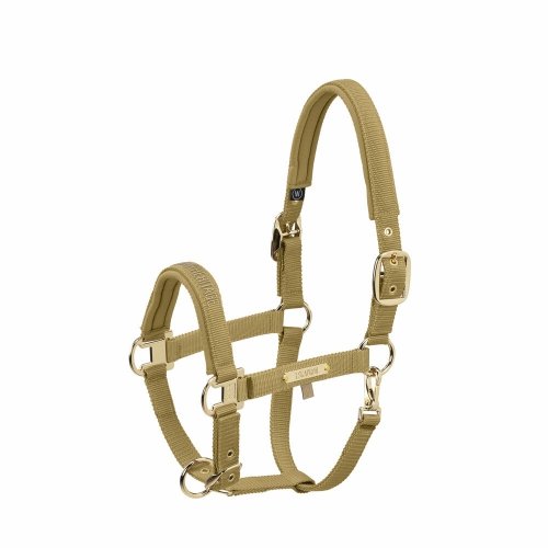 Kantar GIRTH DOUBLE PIN Heritage AW 25/26  - Eskadron - cardamom