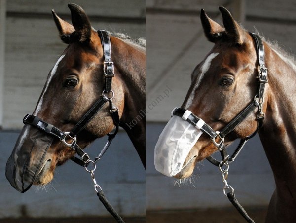Siatka na nos do jazdy - Harry's Horse
