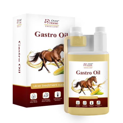 Olej lniano-kukurydziany Gastro Oil 2L - Over Horse
