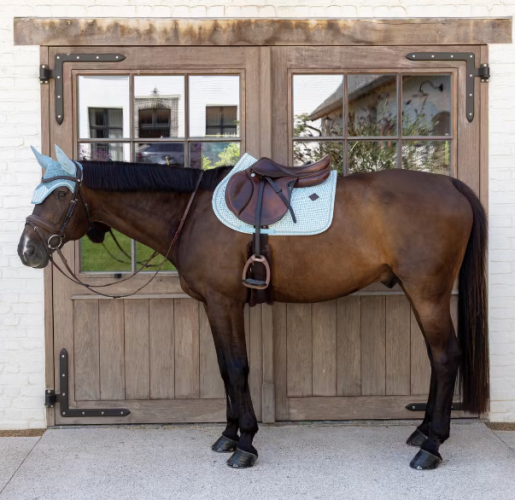 Potnik Velvet Printing - Kentucky - light blue