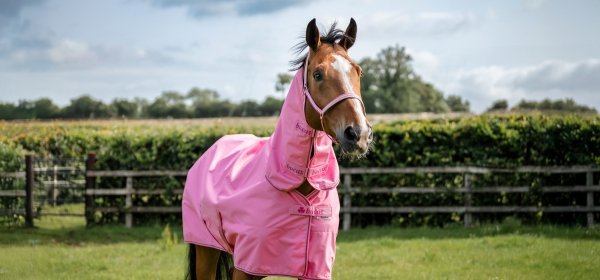 Derka padokowa z kołnierzem 0/0g 600D FREEDOM TURNOUT SS26 - Bucas - aurora pink