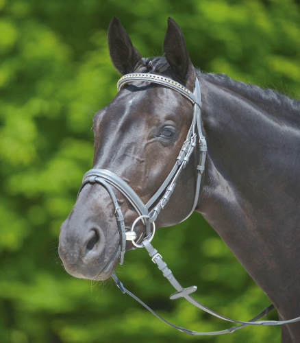 Ogłowie z nachrapnikiem angielskim kombinowanym X-line Shade of Grey - WEMBLEY