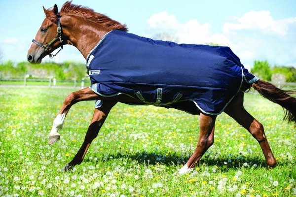 Derka padokowa 200g 1000D RAMBO Original - Horseware - navy/silver